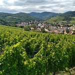 Andlau and the Vosges Mountains