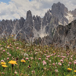 Grassy meadows and rocky peaks