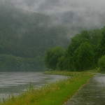 Rainy riverbank