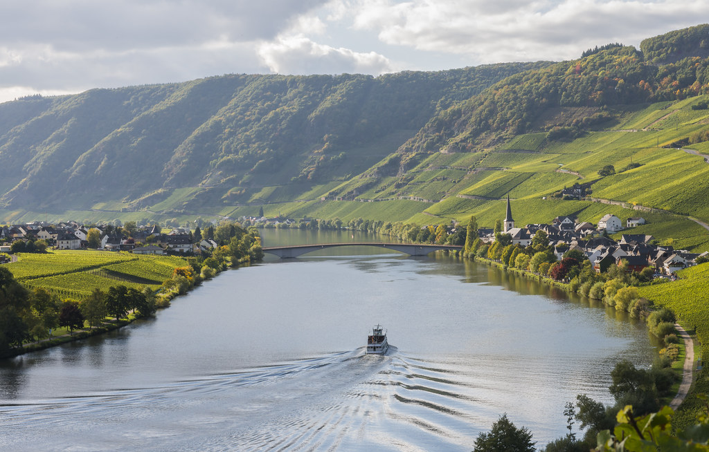 Parcours le long de la vallée de la Moselle plantée de vignobles produisant des vins blancs secs dont le riesling