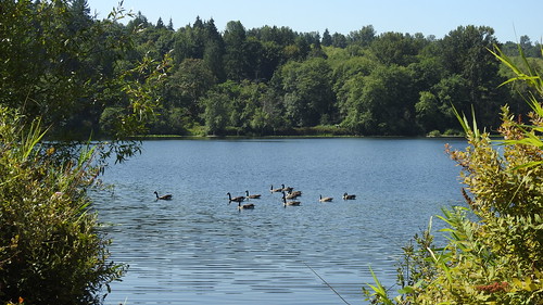 Burnaby's Deer Lake