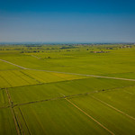 Rice Fields - Vercelli 15.08.2020