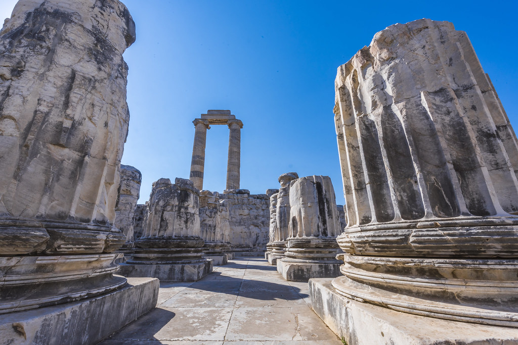 Découverte des ruines du temple monumental d'Apollon à Didymes
