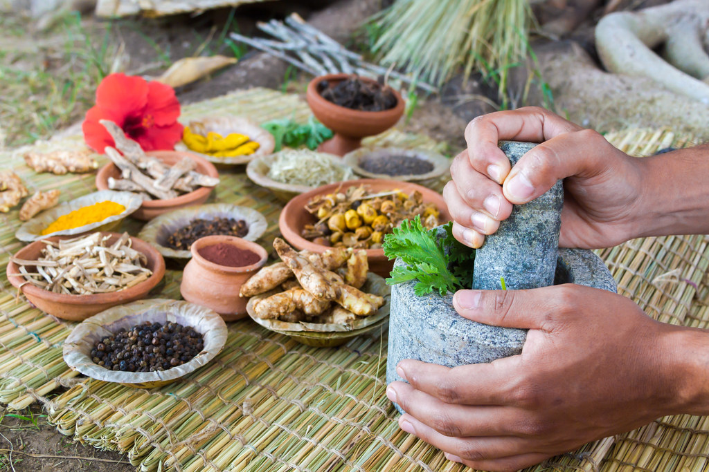 La communauté Emberas nous présentera son mode de vie, dont l'utilisation des plantes médicinales