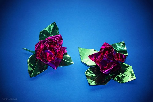 Origami Kawasaki Rose Bud (Toshikazu Kawasaki)
