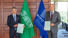 Saudi Arabia Joins Key WIPO Classification Treaties - Photo of Bossey