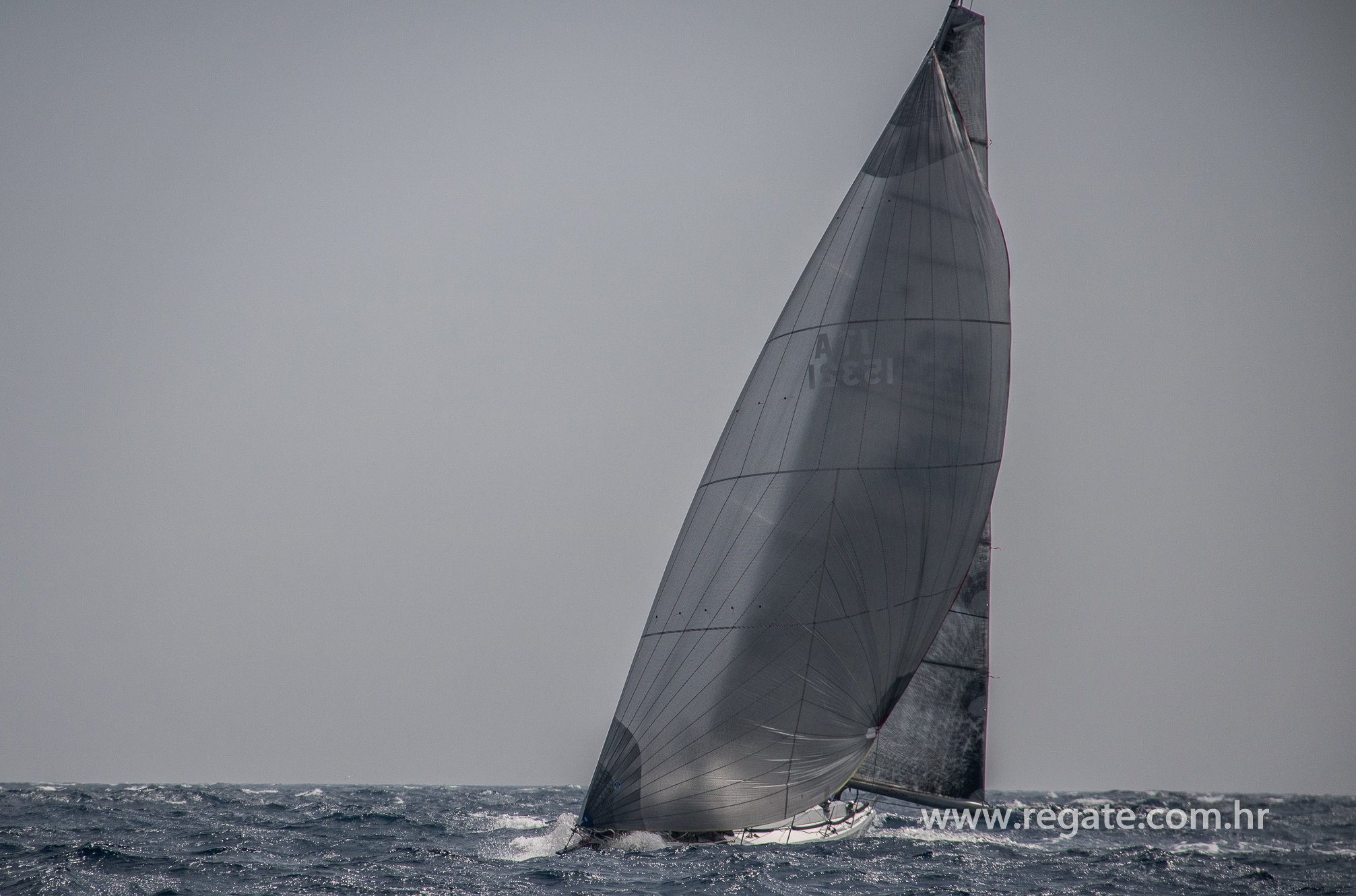 IMG_6367 - D-Marin ORC Svjetsko prvenstvo - 7