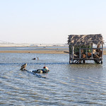 Fishermen's cabin on Karavasta Beach