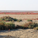 Landscape of the sand bars in Karavasta