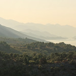 Southern shores of Lake Skadar