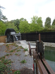 Gœulzin, Canal de la Petite- Sensée - Photo of Hamel
