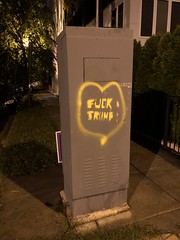 F*CK TRUMP: graffiti on utility box, 13th Street NW, Washington, D.C.