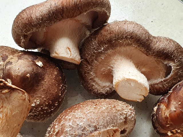 Image of shiitake mushroom