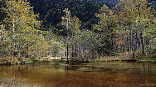 Tashiro-ike Pond, Kamikochi, Nagano, Japan