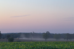Harvest After Sunset - Photo of Malleville-sur-le-Bec