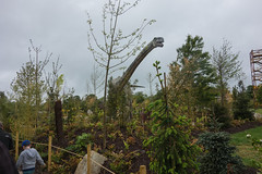 Photo 8 of 10 in the Tayto Park gallery