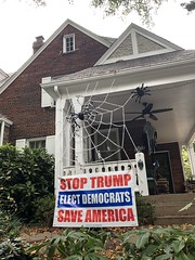 Election sign and Halloween cobwebs, house on 28th Street NW, Washington, D.C.