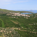 Fruit yards and Athens in the distance