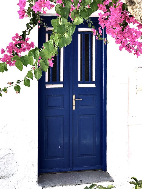 Blue door with climbing flower