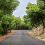 Road in the forest of Poros