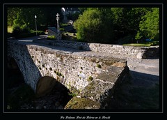 Pont des Pèlerins sur la Boralde - St-Chély d-Aubrac (Aveyron, Midi-Pyrénées, France) - Photo of Curières