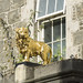 (75) image - The Golden Lion.