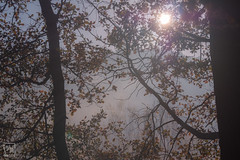 lumière d'automne - Photo of Rousset