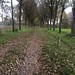 Nice walk in Verwolde Laren / Lochem