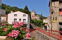 Le Vivier, Fenouilledes - Photo of Trévillach