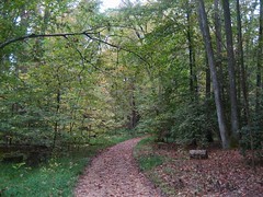 Trail to the River