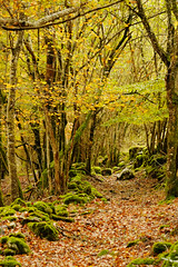 Chemin d-automne - Photo of Estadens