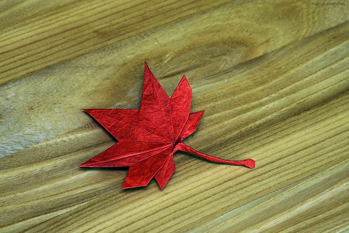 Origami Maple Leaf (Hidehisa Inayoshi)