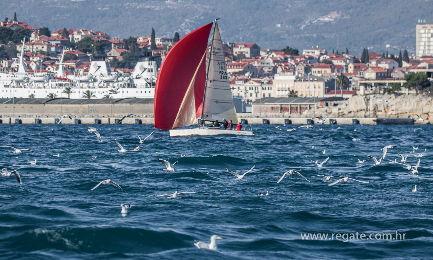 IMG_7330 - Melges 24 trening u Splitu