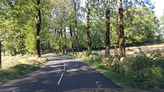 Route du Cantal