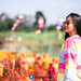Margaret flower field @Sakaeo Thailand