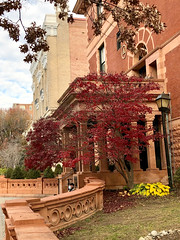 Fall color, entrance to Church of Scientology National Affairs Office, 20th Street NW, Washington, D.C.