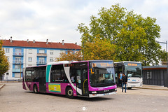 Citéline / Navettes/Navettes Substitution SNCF / MAN Lion's City n°3509 et Iveco Crossway Pop 13 n°23956 - Transdev Grand Est