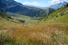 Sentier du Col de Tricot aux Chalets de Miage - Photo of Chamonix-Mont-Blanc