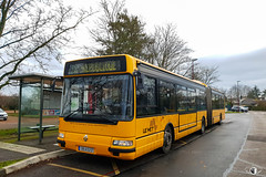 LE MET' / Irisbus Agora L n°0344