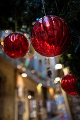 Christmas Red - Photo of Montpellier