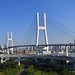 Shanghai - Nanpu Bridge