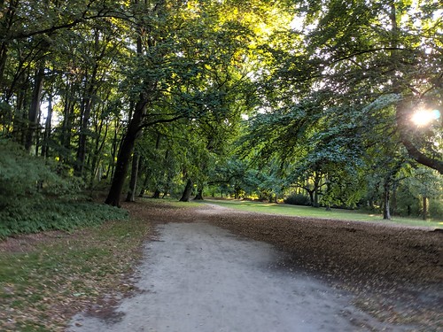 Tiergarten, Berlin