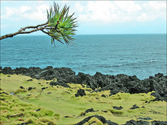 Le Cap Méchant (Île de la Réunion) - Photo of Saint-Joseph