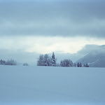 Portra Snow  (In Explore - Retina IIIC / Portra 400)