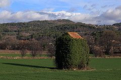 The dovecote of Mont Ventoux
