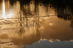 Group A Highly Commended Cornelia Frost Golden Sunset - Section 3 2020/21 REFLECTIONS