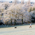 Stanborough Park Frosty Morning Martin Burrage by Martin Burrage