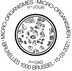 07 Micro-organismes cachet
