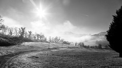 Matin brumeux sur les coteaux - Béarn en noir et blanc