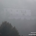 Aves en la niebla. Lagunas de La Guardia (Toledo) 27-2-2021